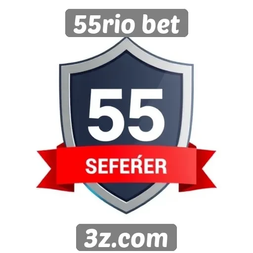 Características de segurança do site 55rio bet